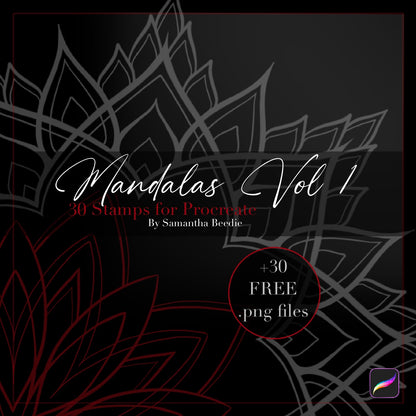 Procreate Stamp Bundle Vol 1 | Mandala’s + Ornamental + Small Ornamental